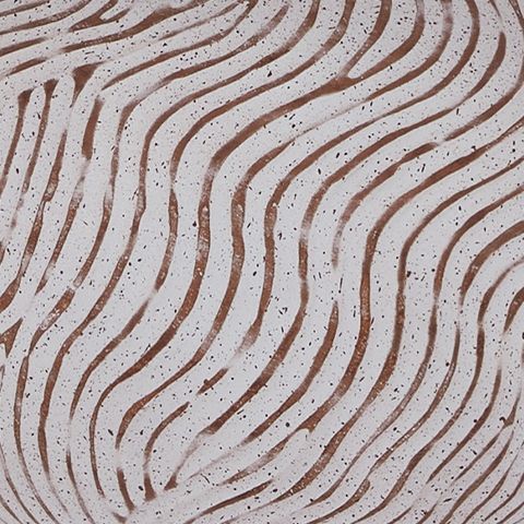 Vien - Terracotta Table Lamp - Distressed White